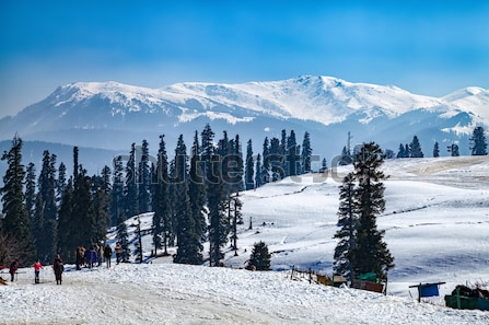 7-Day Itinerary To Explore Kashmir With Family - Tripoto