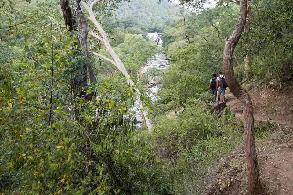 Photo of Mathikettan Shola National Park, Pooppara, Kerala, India by Inside Out with Rahul Yuvi