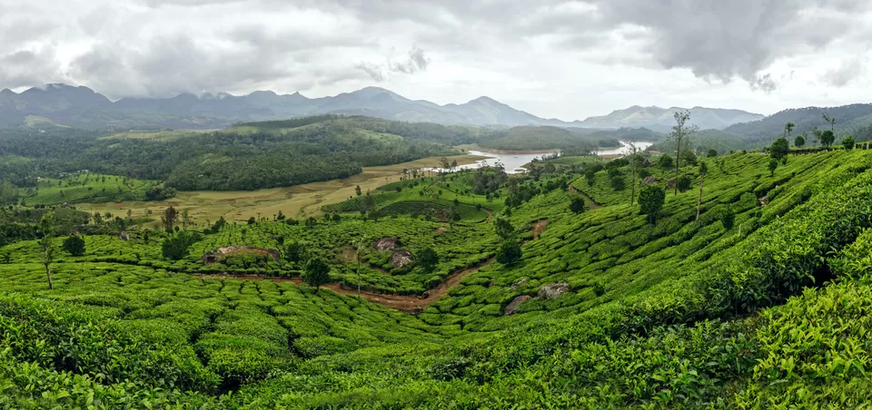 Photo of Letchmi estate, Aluva - Munnar Road, Mankulam, Kerala, India by Inside Out with Rahul Yuvi