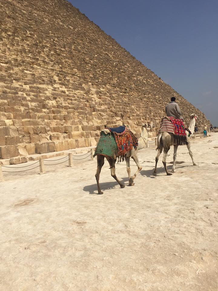 Photo of My Adventure To The Land Of The Pharaohs by Ann Jones