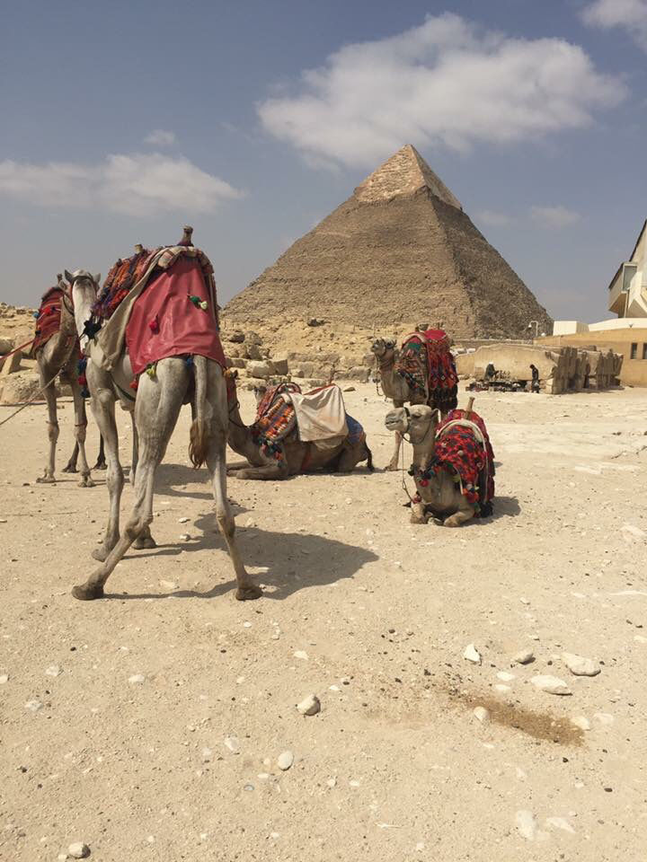 Photo of My Adventure To The Land Of The Pharaohs by Ann Jones