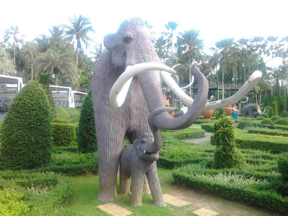 Photo of The Thai touch 9/9 by Deepika Gumaste