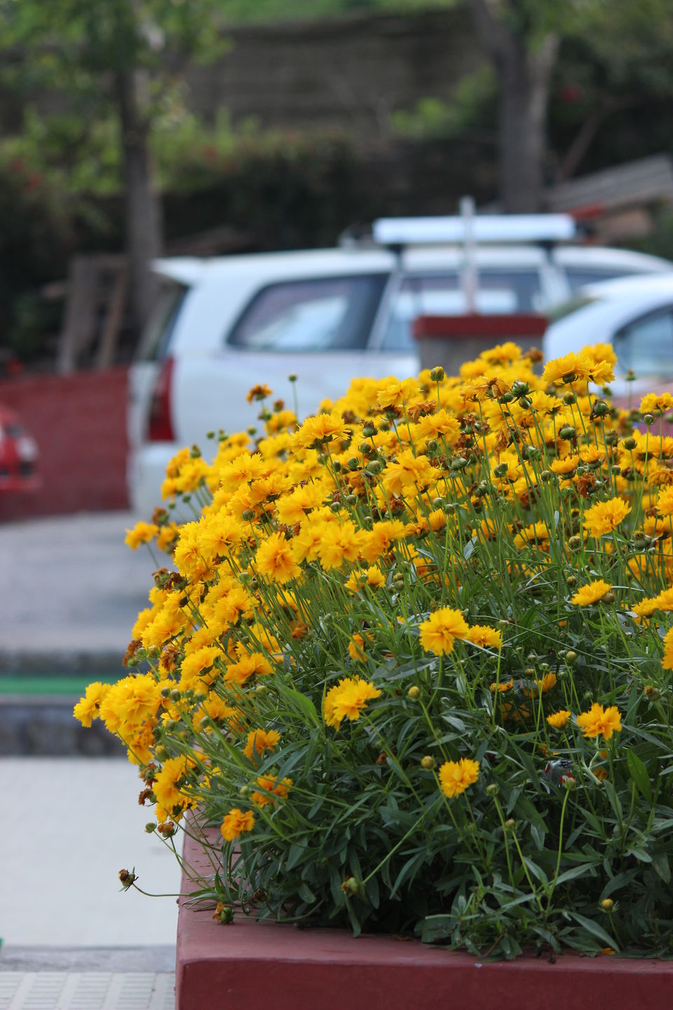 Photo of LEH ja LEH ja re and get Leh'd 2/11 by Raunaq Deo