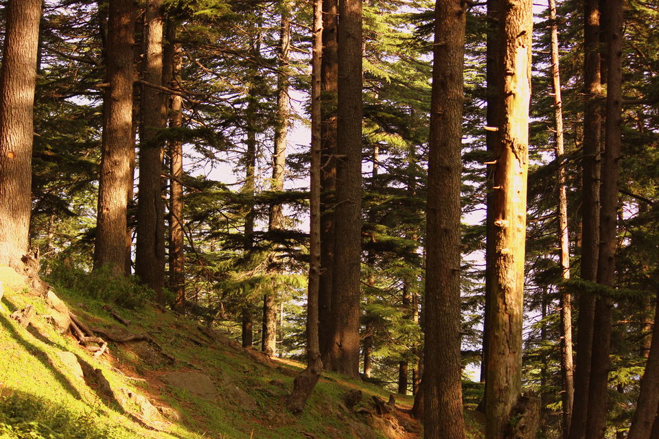 Photo of LEH ja LEH ja re and get Leh'd 4/11 by Raunaq Deo