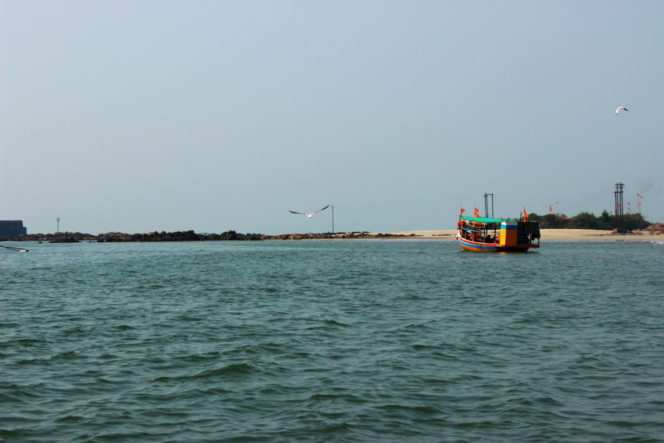 Photo of Tarakali - Explore life below sea level (scuba) by Raunaq Deo