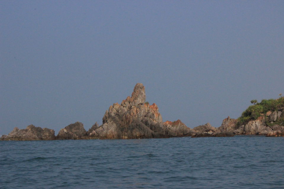 Photo of Tarakali - Explore life below sea level (scuba) by Raunaq Deo