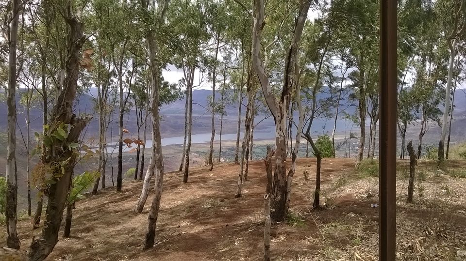 Photo of Amidst the clouds in Panchgani 2/7 by Jyoti