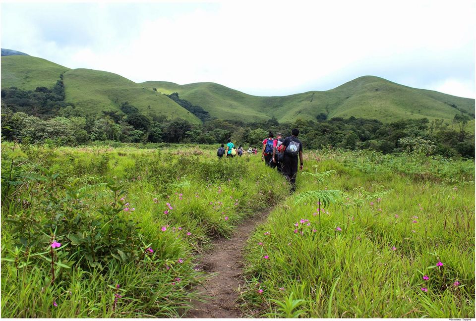 Photo of Trek to the Horse's face - Kudremukh 20/36 by Akhil Bhat