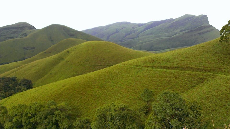 Photo of Trek to the Horse's face - Kudremukh 26/36 by Akhil Bhat