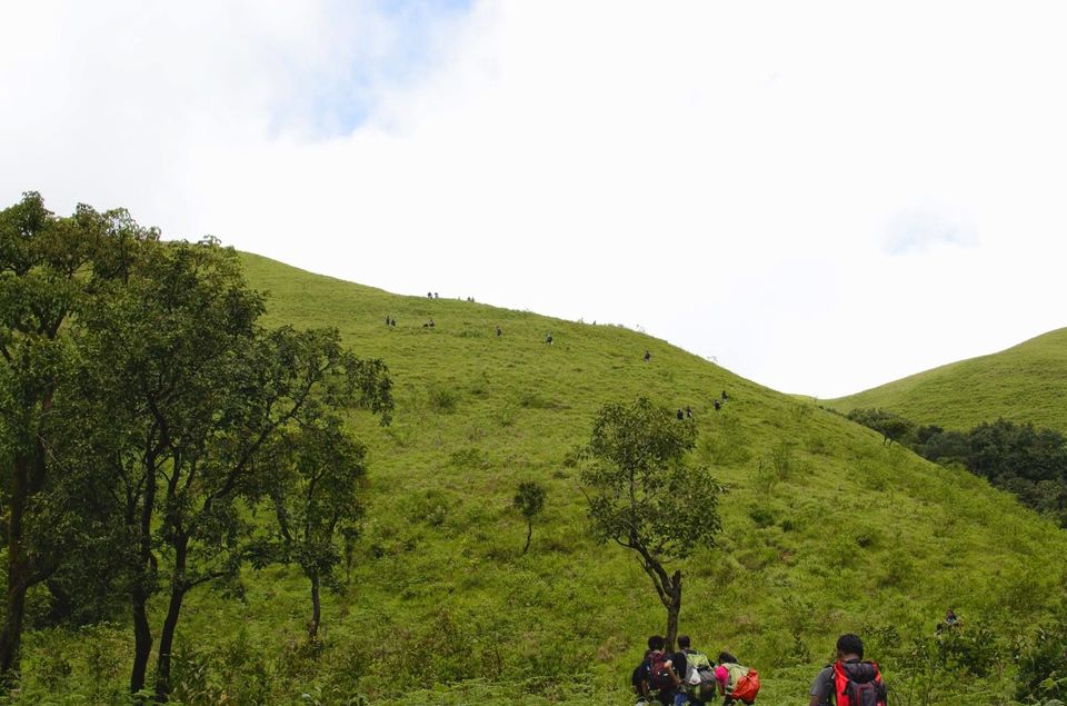 Photo of Trek to the Horse's face - Kudremukh 13/36 by Akhil Bhat