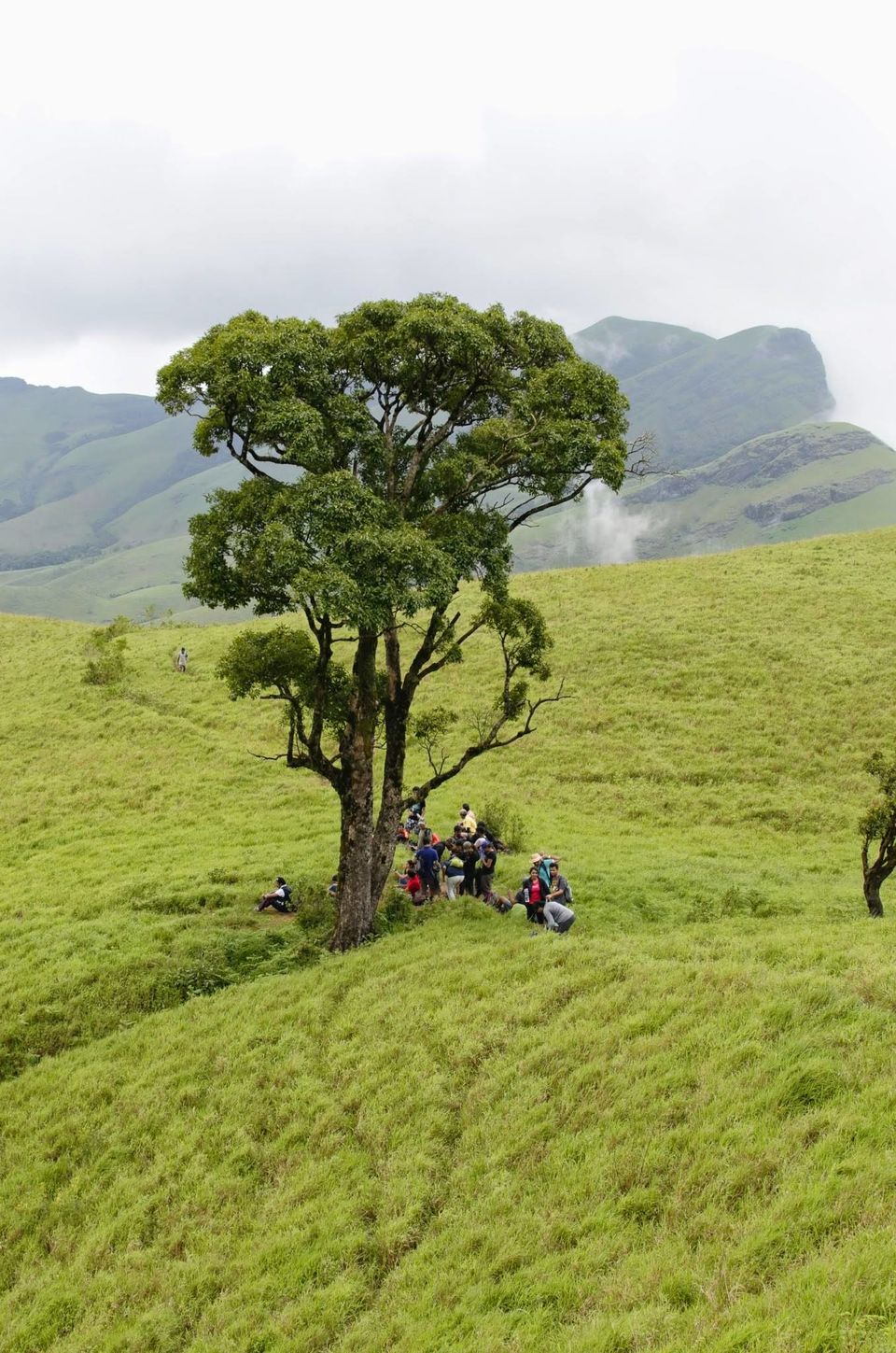Photo of Trek to the Horse's face - Kudremukh 15/36 by Akhil Bhat