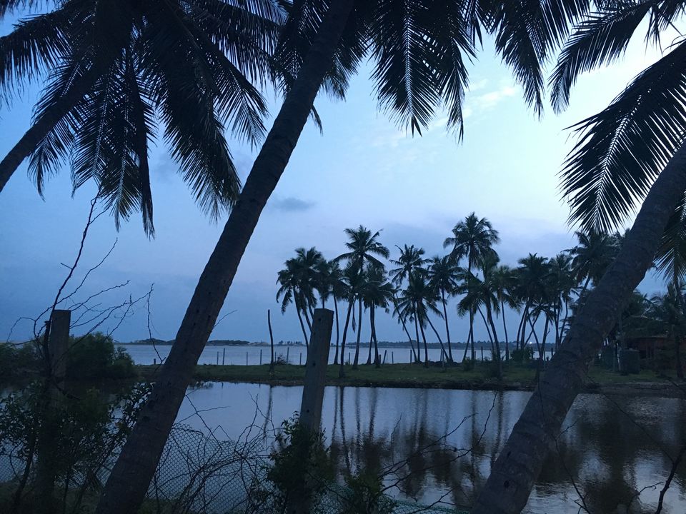 Photo of Best stills of 2020 in pandemic #TravelStills 5/20 by Aakriti & Nitin | @thecarpediemduo