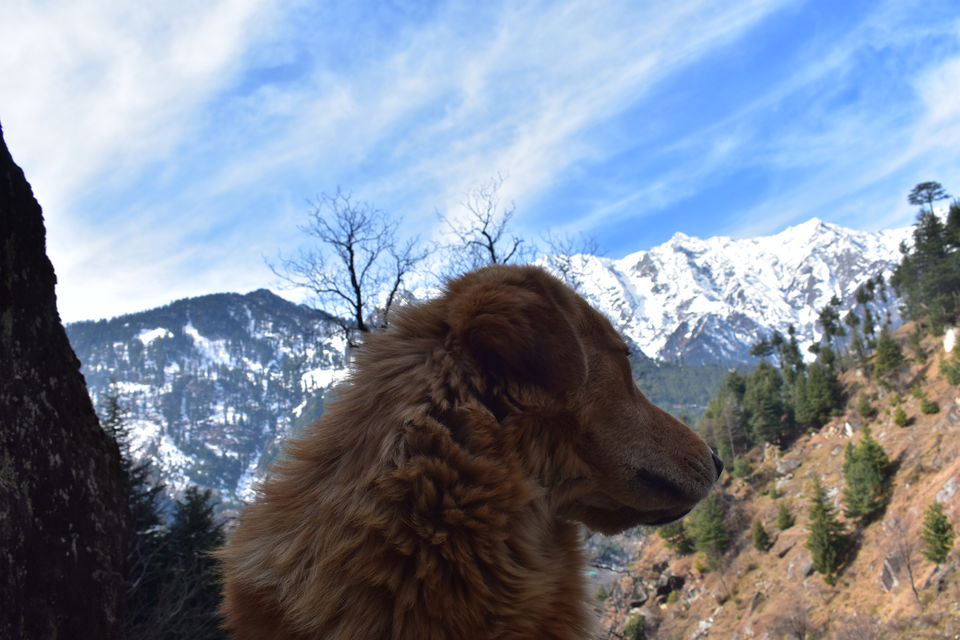 Photo of Tales From My Travel Schooling #MemoryLane by Kushagra Singh