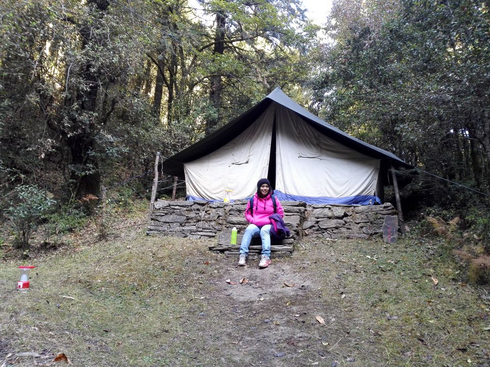 Photo of Into the woods: Camping in Mukteshwar 1/12 by anamitra ghosh