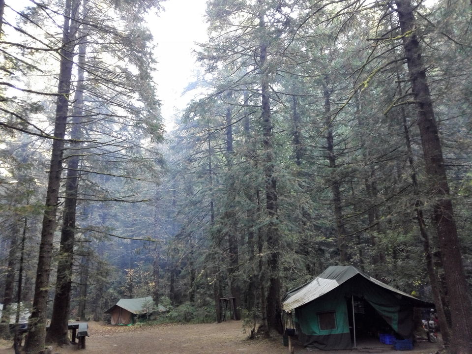 Photo of Into the woods: Camping in Mukteshwar 2/12 by anamitra ghosh
