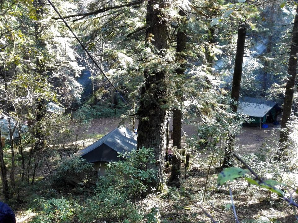 Photo of Into the woods: Camping in Mukteshwar 4/12 by anamitra ghosh