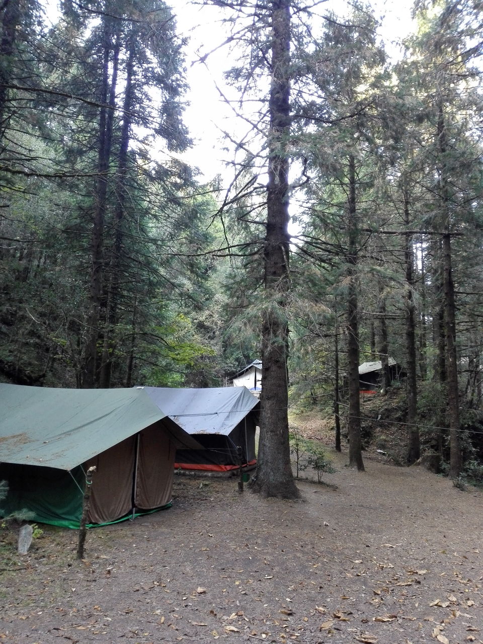 Photo of Into the woods: Camping in Mukteshwar 7/12 by anamitra ghosh