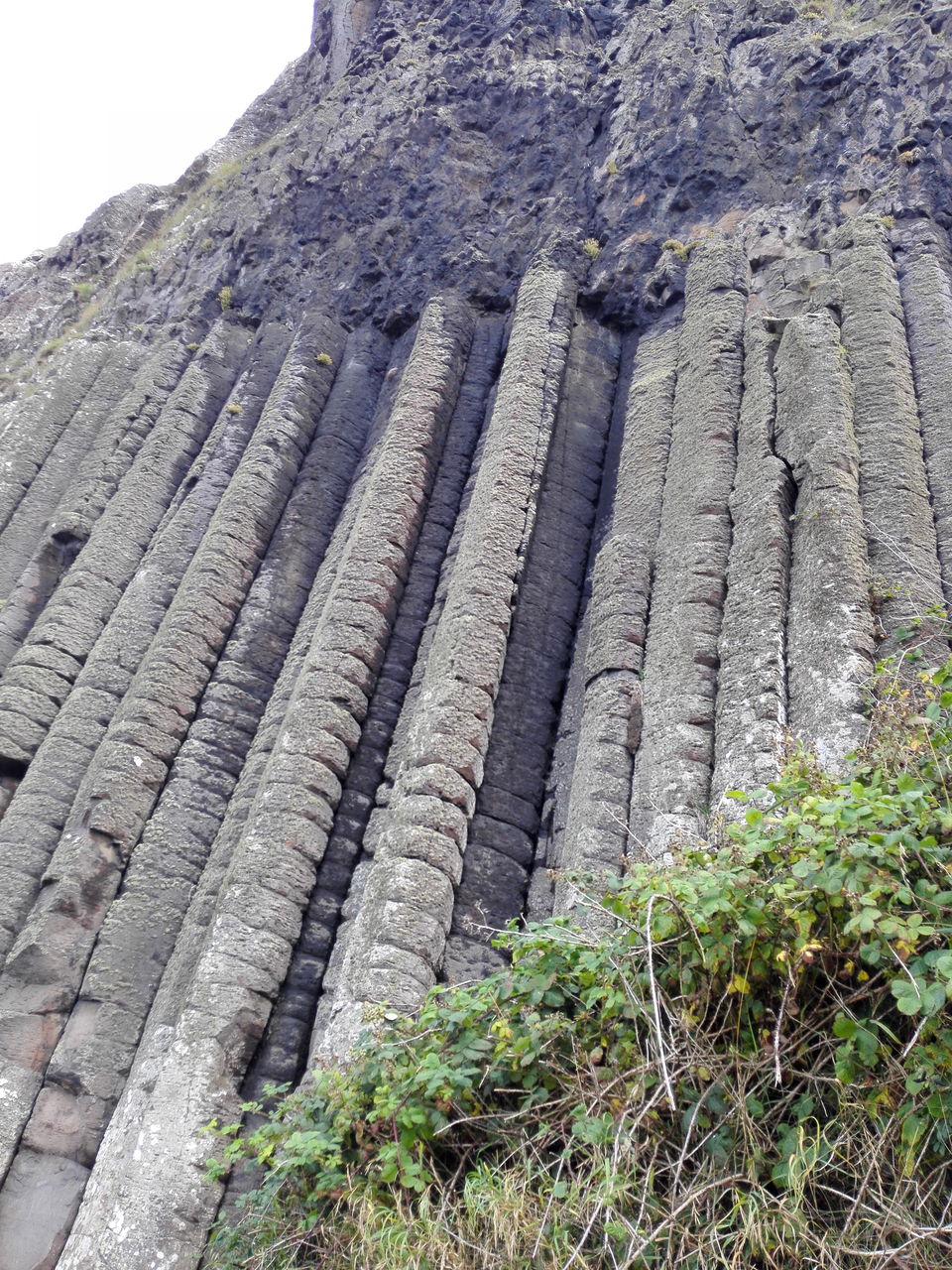 Photo of Giant's Causeway and Titanic Belfast: Day trip from Dublin 8/16 by anamitra ghosh