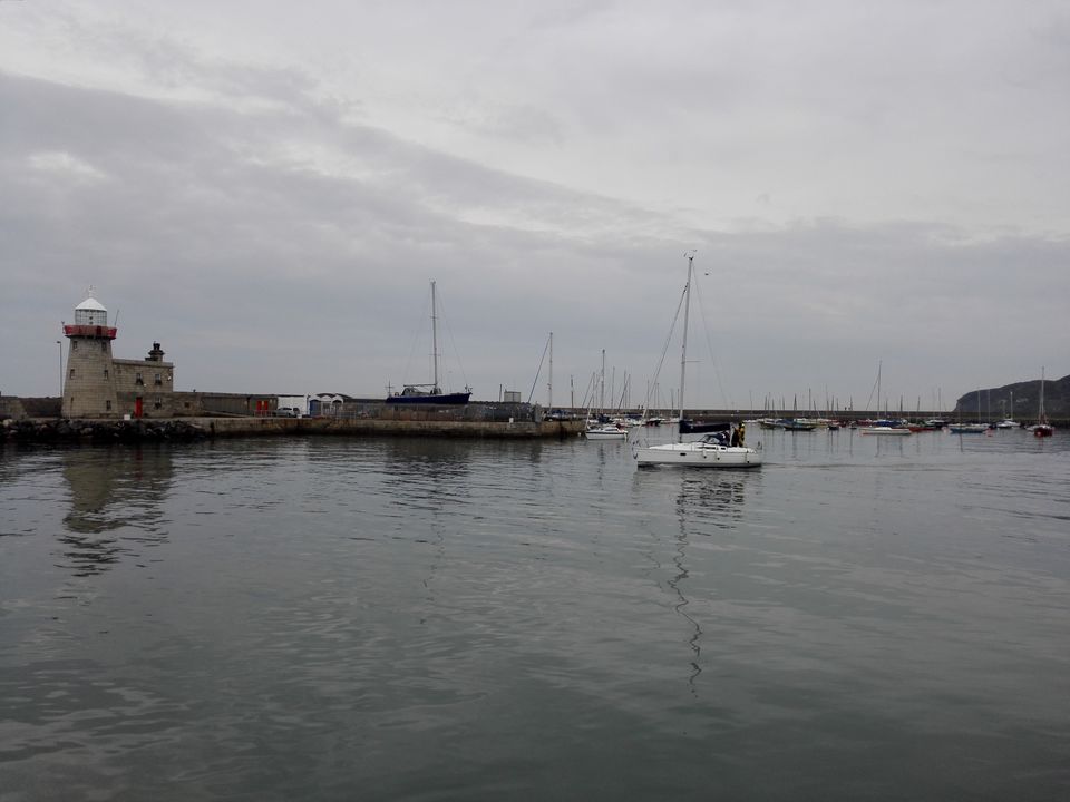 Photo of Feeding the Sea Lions at Howth by anamitra ghosh