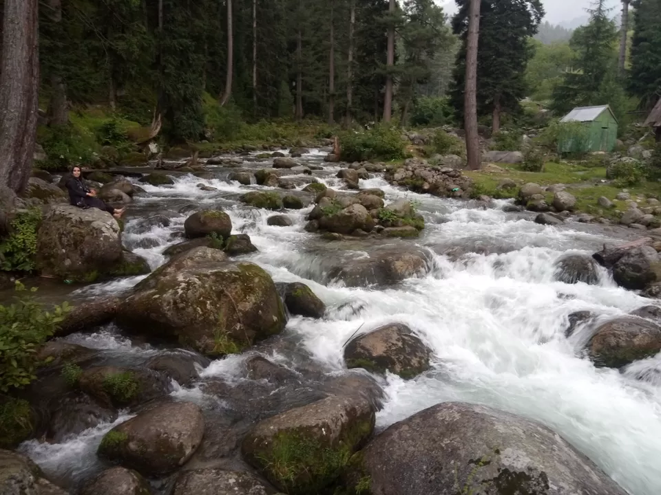 Photo of The hangover of this state will last for lifetime. My god kashmir you are the synonym of heaven by Ena Kashyap