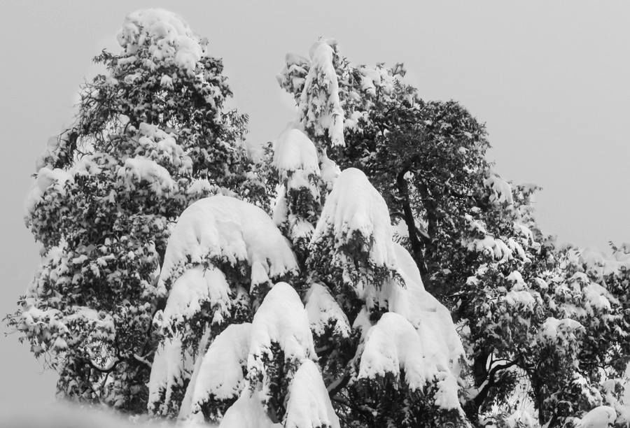 Photo of The Wanderlust: Champawat (Chamba) 8/19 by Ashish