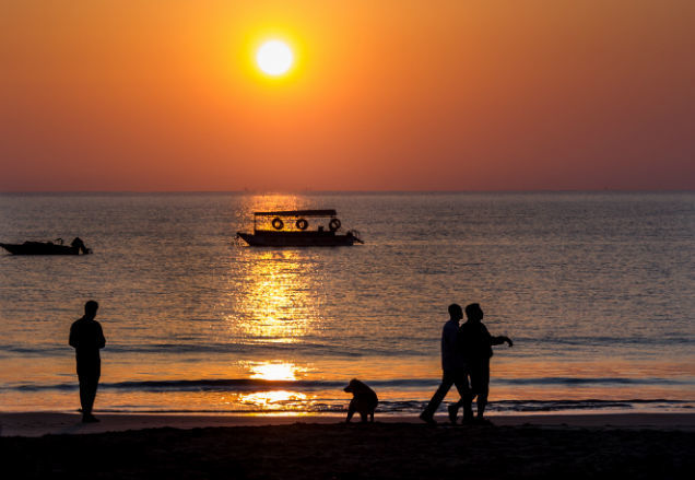 Photo of The Wanderlust: Ahmedabad, Gir & Diu, Part: 3 1/31 by Ashish