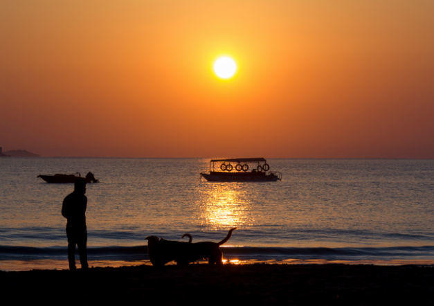 Photo of The Wanderlust: Ahmedabad, Gir & Diu, Part: 3 2/31 by Ashish