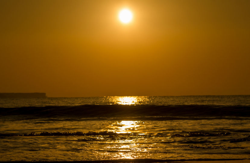Photo of The Wanderlust: Ahmedabad, Gir & Diu, Part: 3 3/31 by Ashish