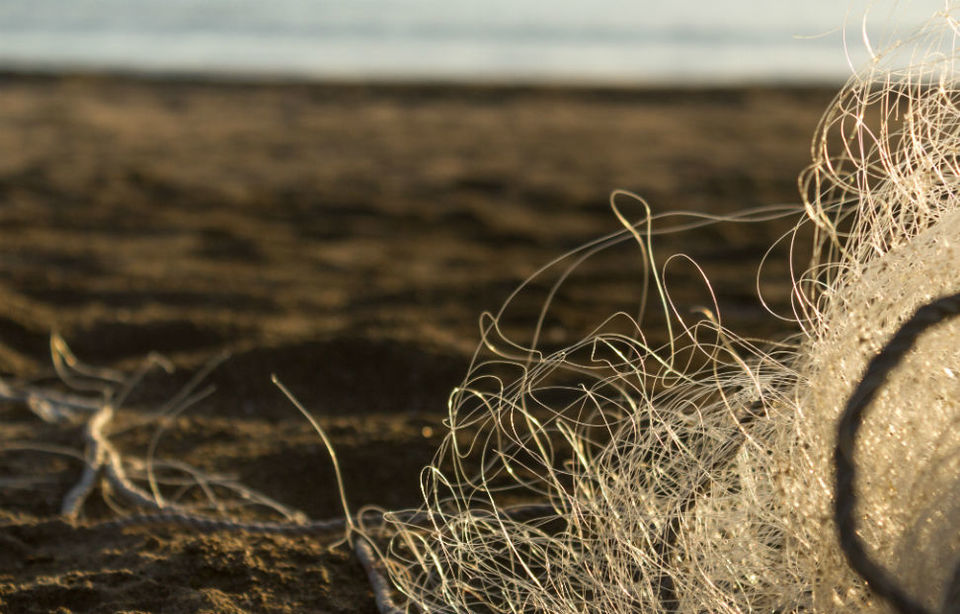 Photo of The Wanderlust: Ahmedabad, Gir & Diu, Part: 3 6/31 by Ashish