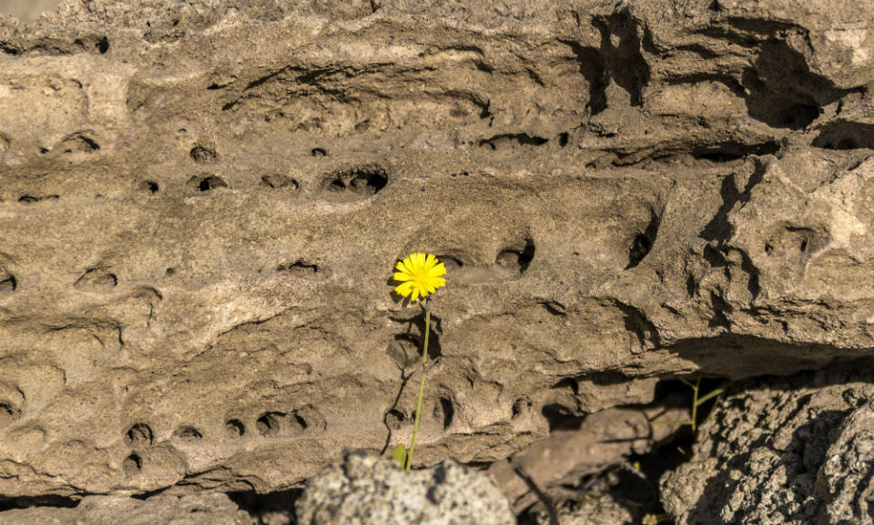 Photo of The Wanderlust: Ahmedabad, Gir & Diu, Part: 3 7/31 by Ashish
