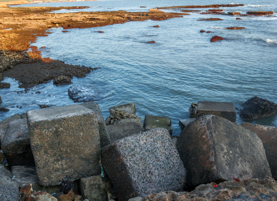 Photo of The Wanderlust: Ahmedabad, Gir & Diu, Part: 3 14/31 by Ashish