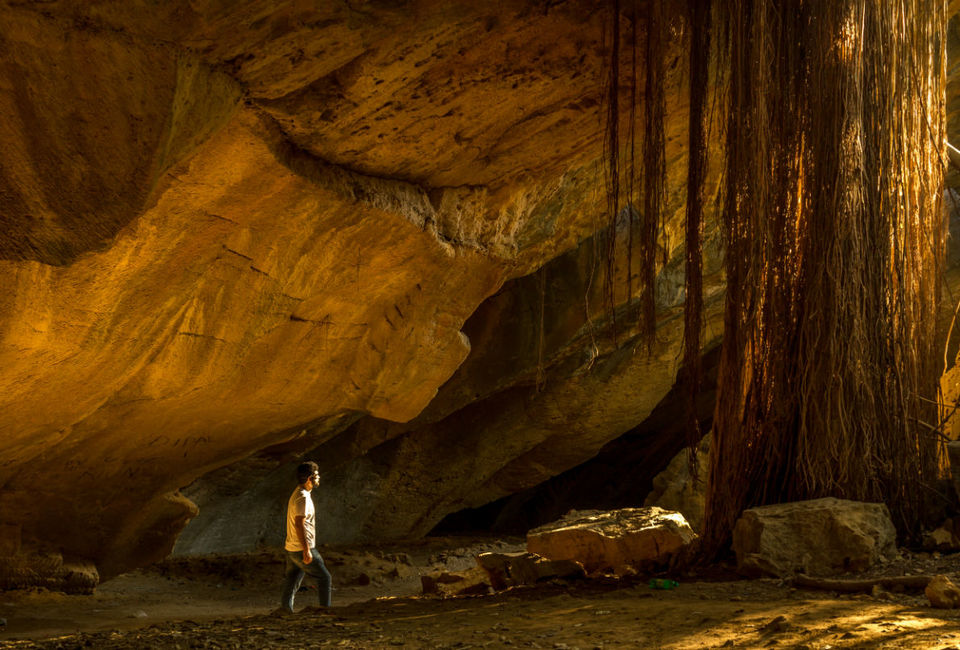 Photo of The Wanderlust: Ahmedabad, Gir & Diu, Part: 3 19/31 by Ashish