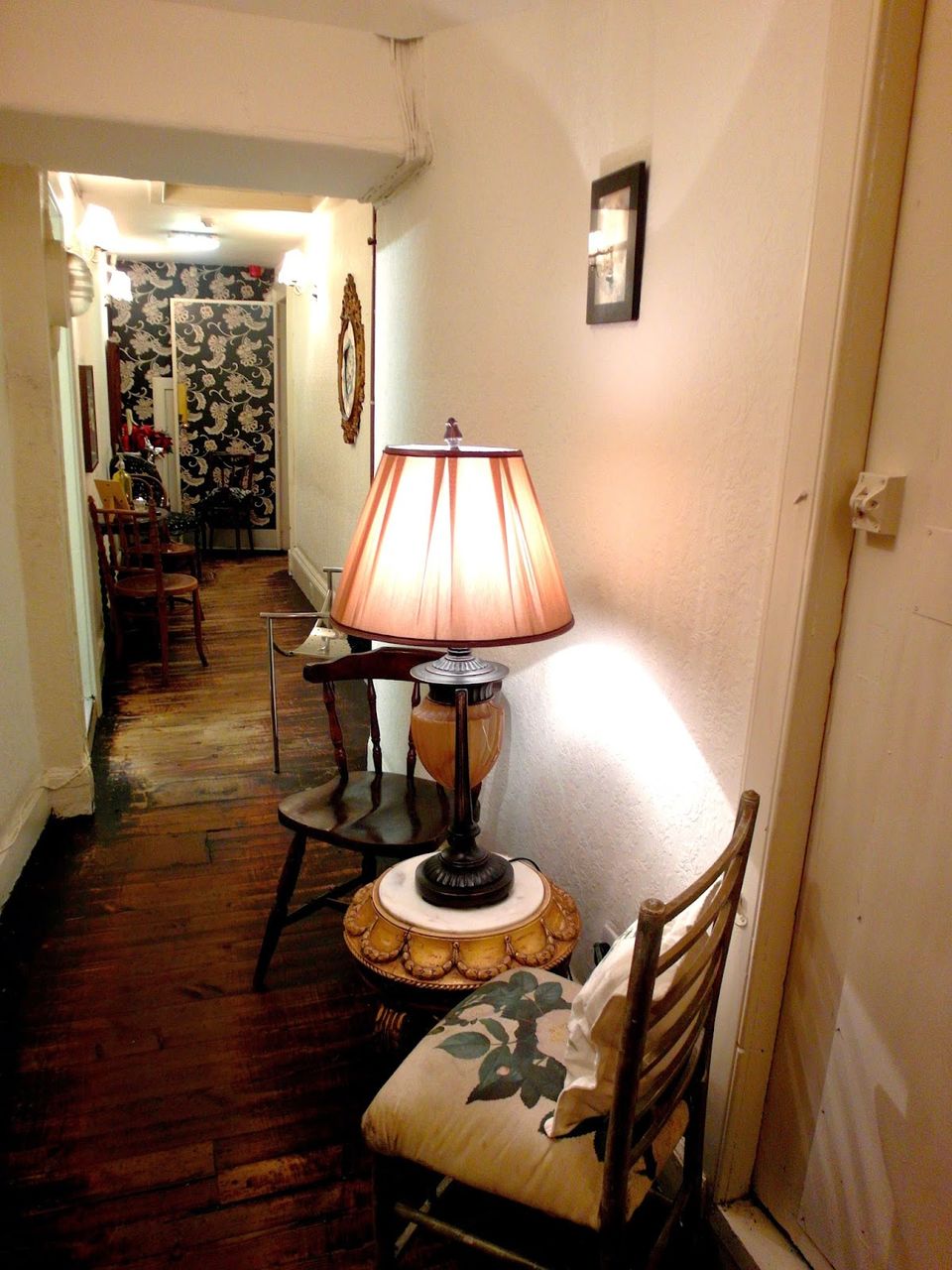 Photo of the dogs, Hanover Street, Edinburgh, United Kingdom by Lynette Tan