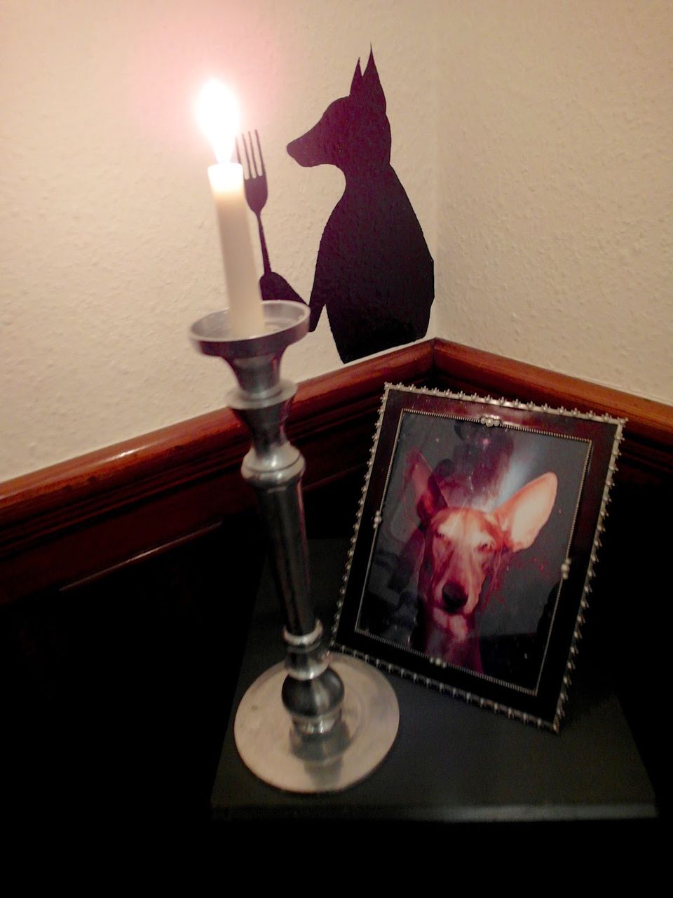 Photo of the dogs, Hanover Street, Edinburgh, United Kingdom by Lynette Tan