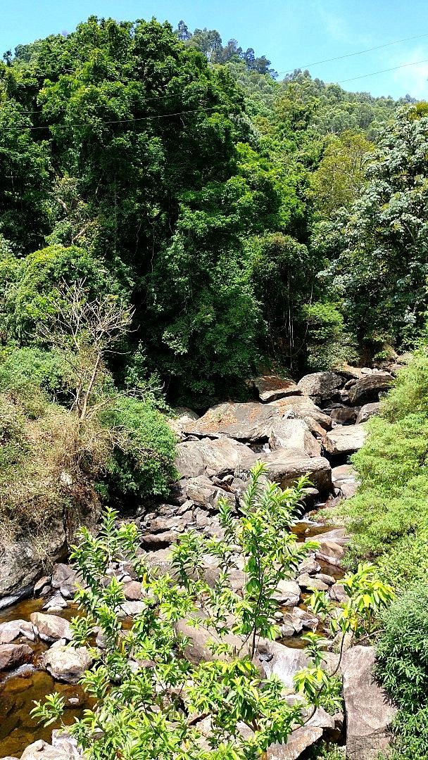 Photo of Kanthalloor - A hidden gem in  Kerala 18/19 by currylines