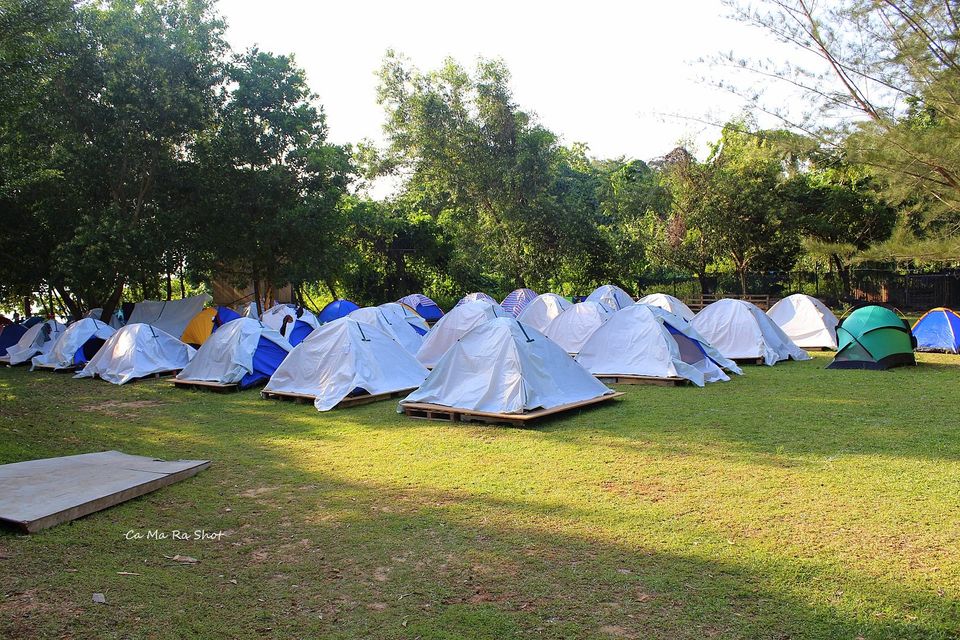 Photo of Rainforest World Music Festival RWMF2019, Sarawak, Malaysia by currylines
