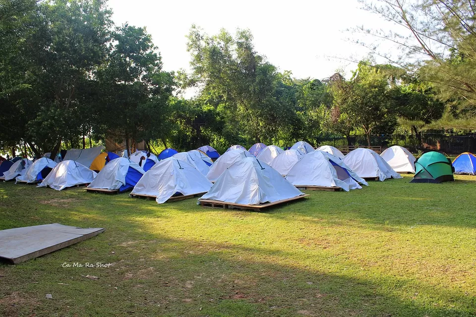 Photo of Rainforest World Music Festival RWMF2019, Sarawak, Malaysia by currylines