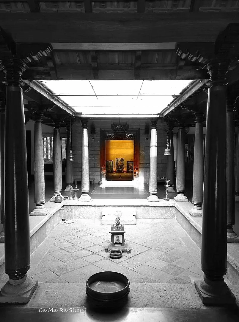 Photo of Mango Mulch, Talakadu - Malavalli Road, T.Bettahalli, Karnataka, India by currylines