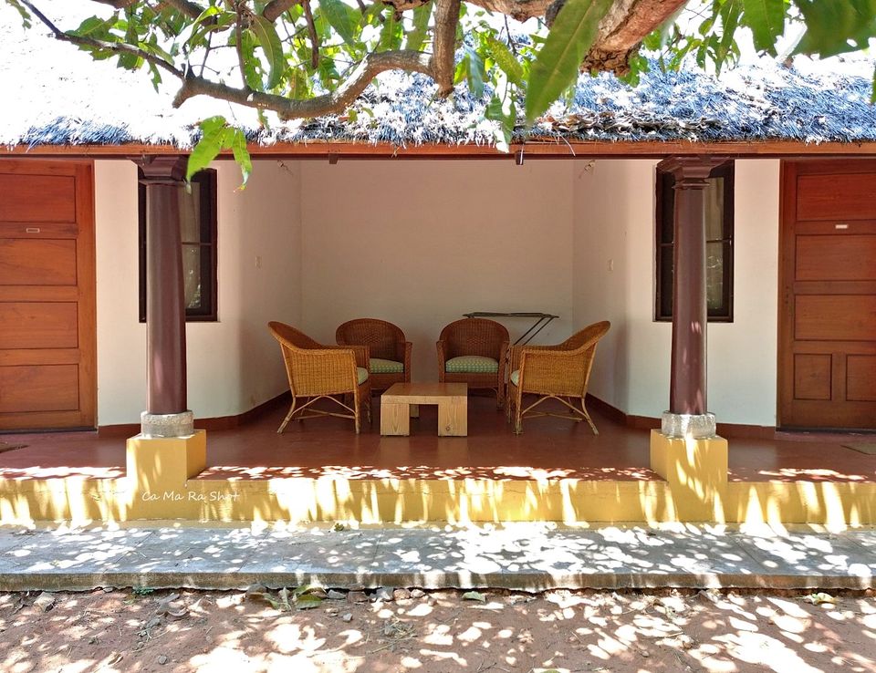 Photo of Mango Mulch - Homestay, Talakadu by currylines