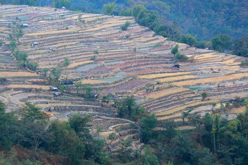 Photo of Native Stories - Homestay, Nagaland 10/13 by currylines