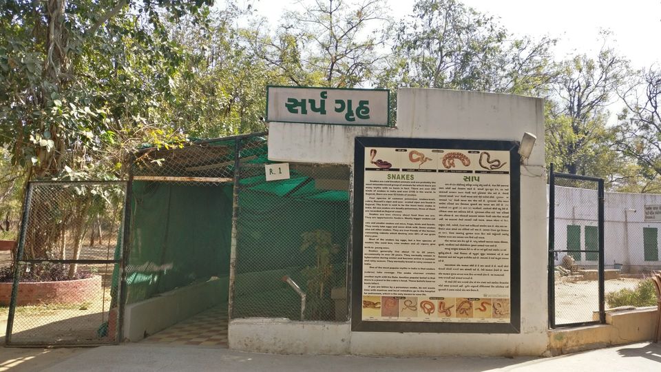 Photo of Indroda Nature park - Gandhinagar, Gujarat by currylines
