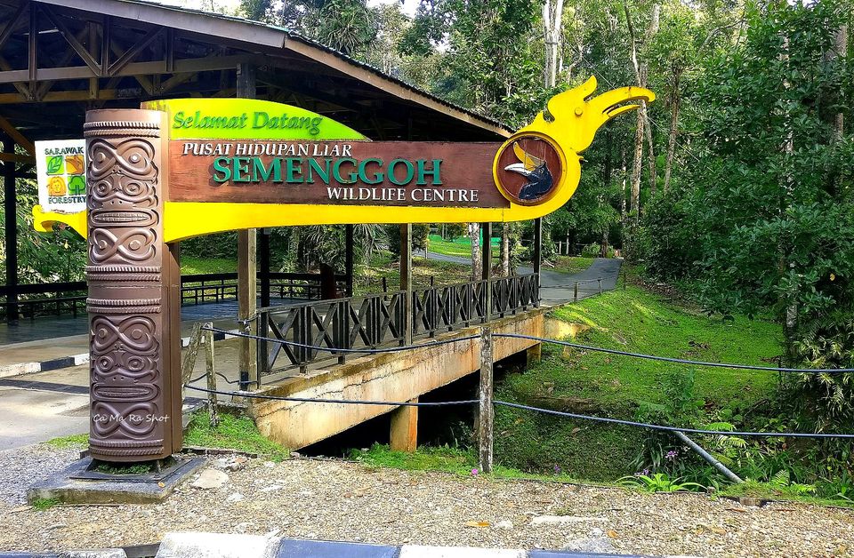 Photo of Semengohh Orang Utan Rehabilitation center – Kuching, Sarawak, Malaysia by currylines