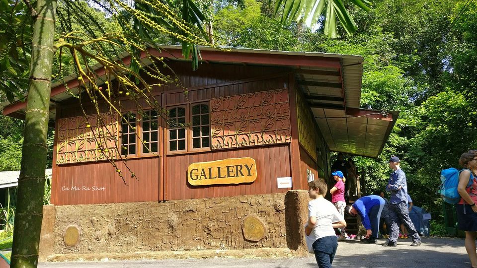 Photo of Semengohh Orang Utan Rehabilitation center – Kuching, Sarawak, Malaysia by currylines