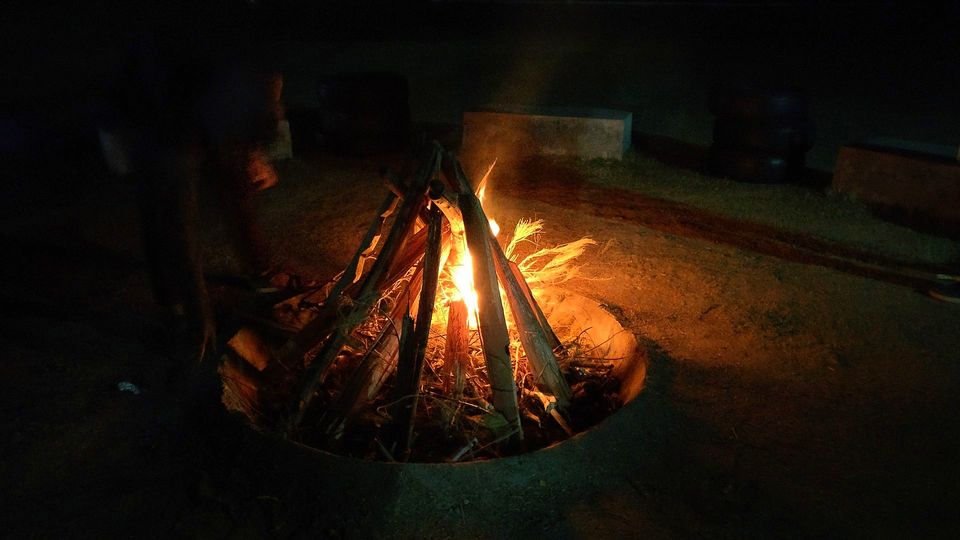 Photo of Bhavna Resort and Farm, Patdi, Little Rann of Kutch, Gujarat by currylines