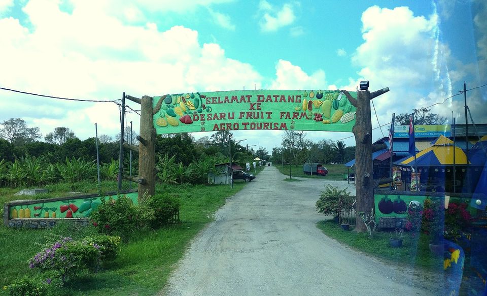 Photo of Desaru Fruit Farm - Desaru, Malaysia by currylines