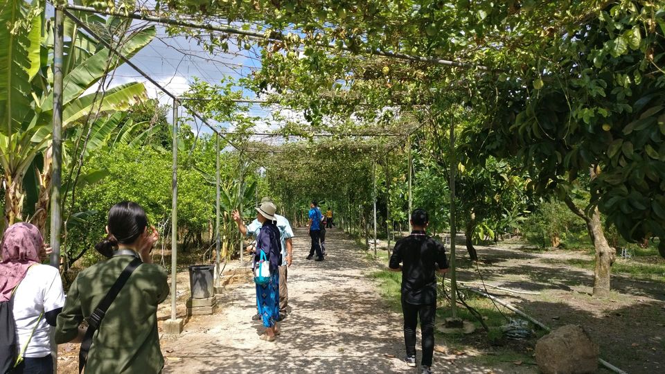 Photo of Desaru Fruit Farm - Desaru, Malaysia by currylines