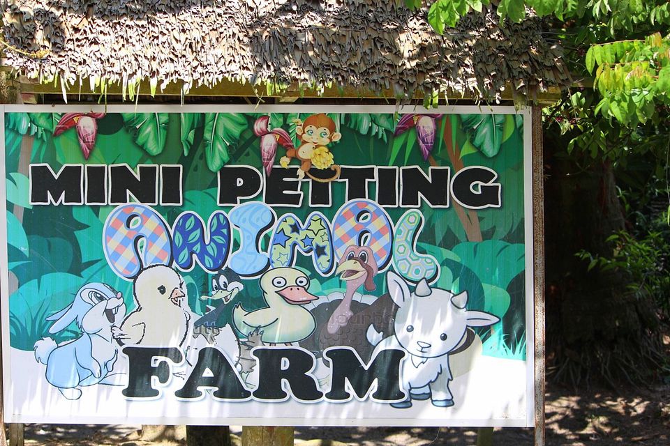 Photo of Desaru Fruit Farm - Desaru, Malaysia by currylines