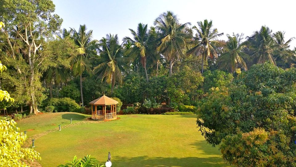 Photo of Aalaya - Homestay - Bangalore by currylines