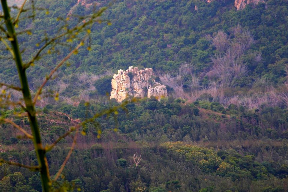 Photo of Retreat Hospitium, Yercaud by currylines