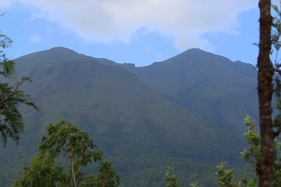 Photo of Java Rain Resorts - Chikmagalur, Karnataka by currylines